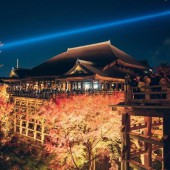 Kyoto bãi bỏ vé xe buýt trong ngày để đối phó quá tải du lịch